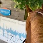 Domaine Terroceane 3* La-Gripperie-Saint-Symphorien