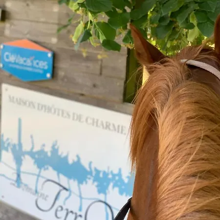 Domaine Terroceane 3* La-Gripperie-Saint-Symphorien