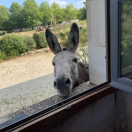 Domaine Terroceane 3* La-Gripperie-Saint-Symphorien