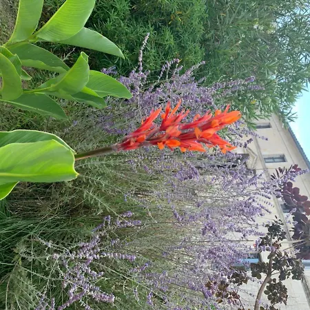 בית הארחה Domaine Terroceane La-Gripperie-Saint-Symphorien