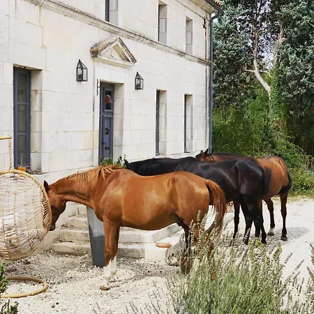 Domaine Terroceane La-Gripperie-Saint-Symphorien