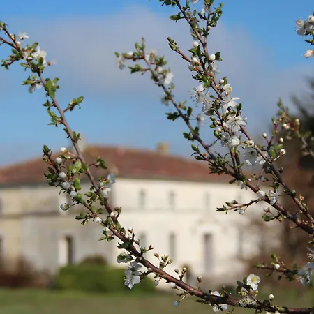 Domaine Terroceane Gæstehus