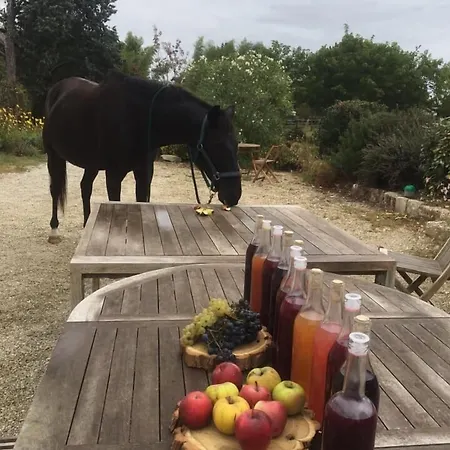 בית הארחה Domaine Terroceane 3*