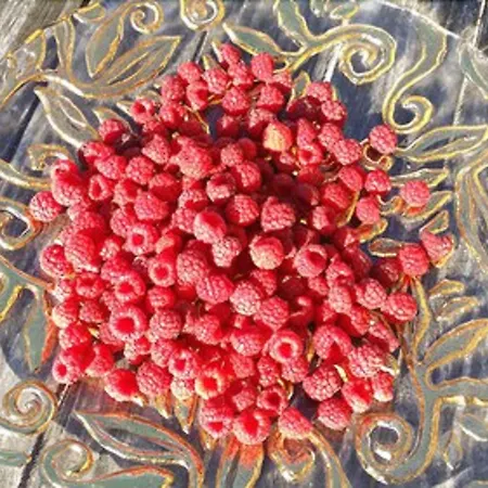 Domaine Terroceane 3*