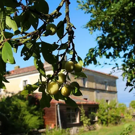 Domaine Terroceane 3* La-Gripperie-Saint-Symphorien