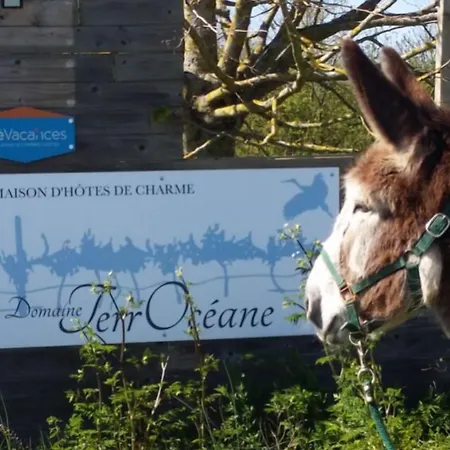 Domaine Terroceane Gæstehus La-Gripperie-Saint-Symphorien