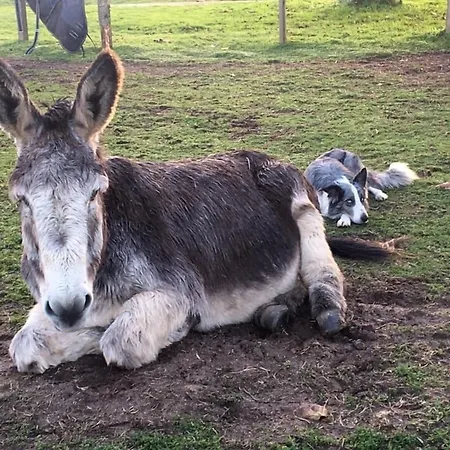 Domaine Terroceane 3* La-Gripperie-Saint-Symphorien