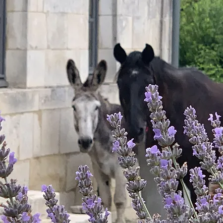 Domaine Terroceane 3*