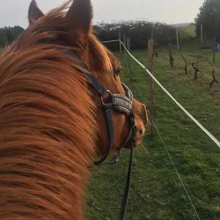 Domaine Terroceane La-Gripperie-Saint-Symphorien