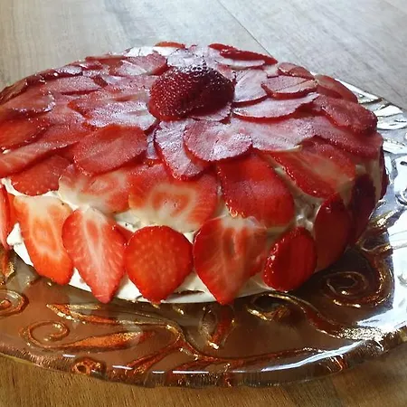 Domaine Terroceane La-Gripperie-Saint-Symphorien