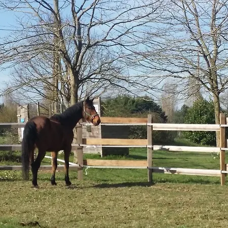 בית הארחה Domaine Terroceane La-Gripperie-Saint-Symphorien