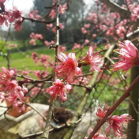 게스트하우스 Domaine Terroceane La-Gripperie-Saint-Symphorien