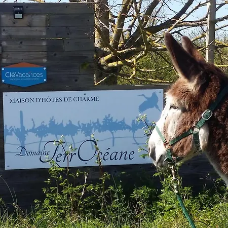 Domaine Terroceane 3* La-Gripperie-Saint-Symphorien