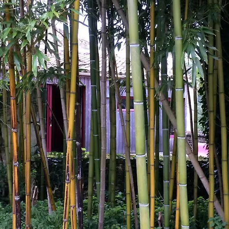 Domaine Terroceane 3* La-Gripperie-Saint-Symphorien