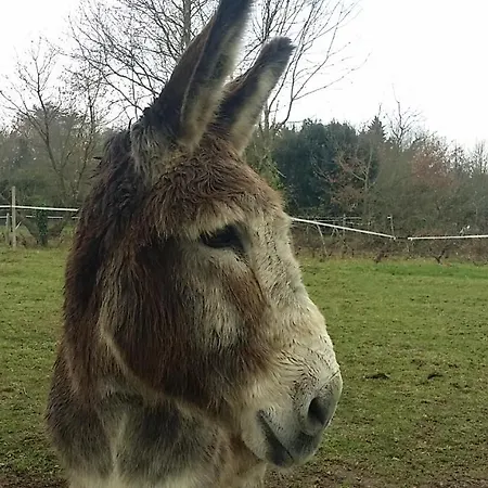 בית הארחה Domaine Terroceane 3*