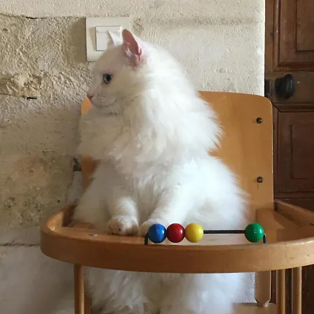 Domaine Terroceane בית הארחה La-Gripperie-Saint-Symphorien